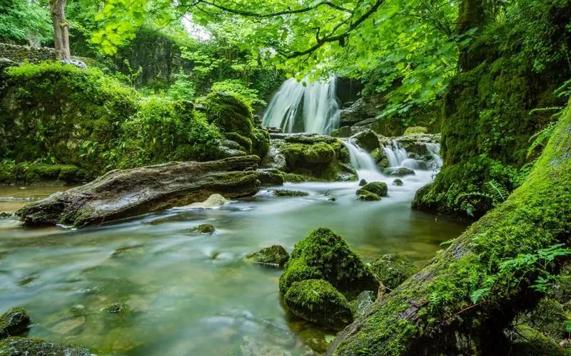 高效绿色可靠性